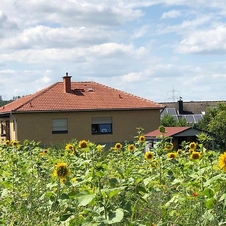 Ferienwohnung Carpe Diem Scheuerfeld Экстерьер фото